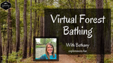 Beginners Guide to Forest Bathing