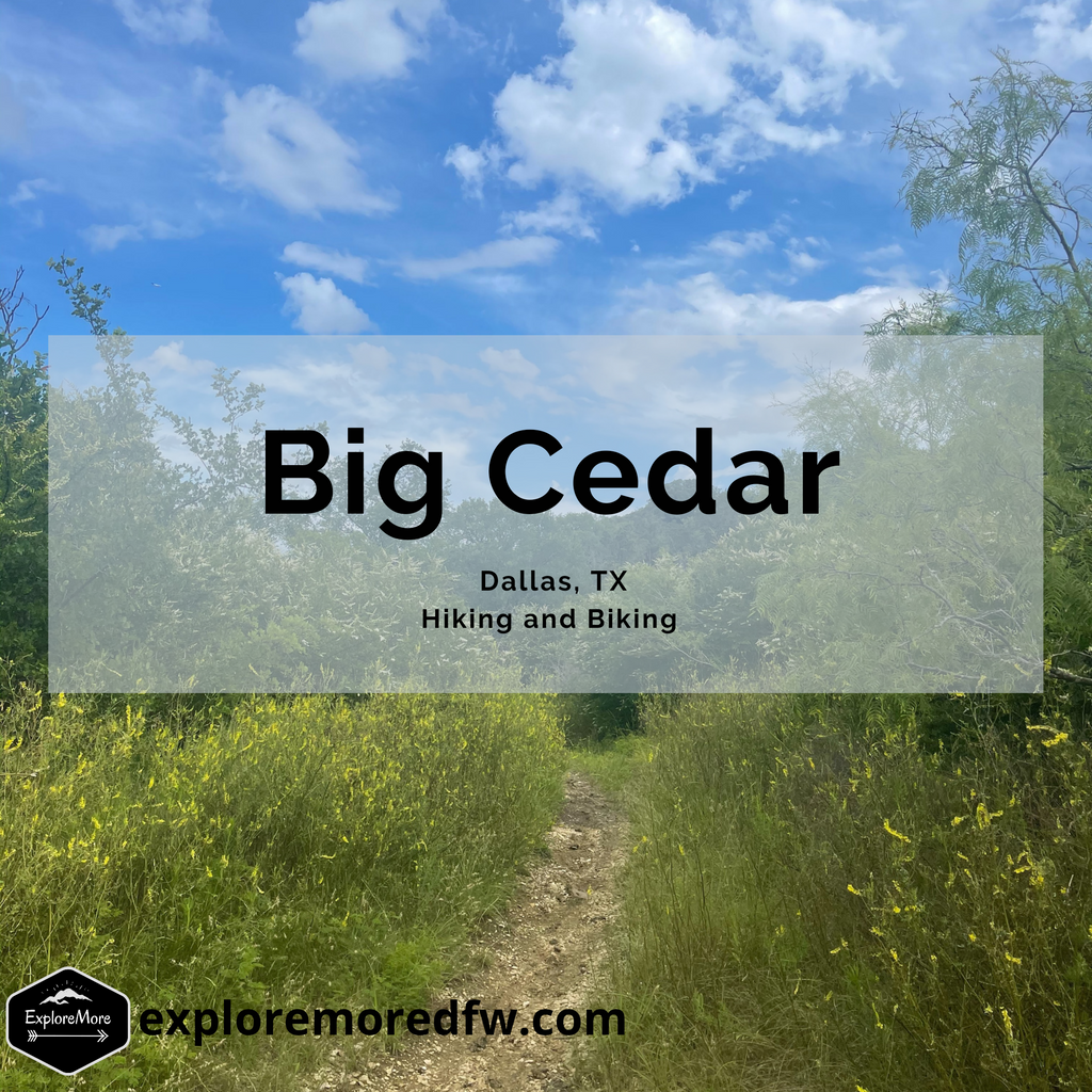 Big Cedar Trail Highlight