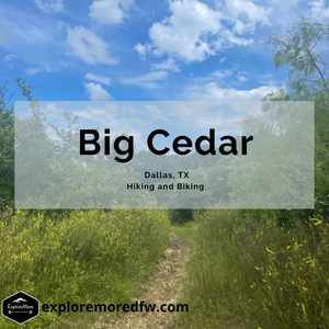 Big Cedar Trail Highlight