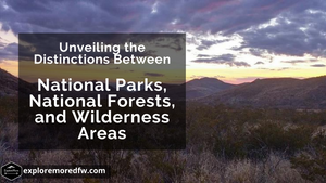 Exploring the Great Outdoors: Unveiling the Distinctions Between National Parks, National Forests, and Wilderness Areas