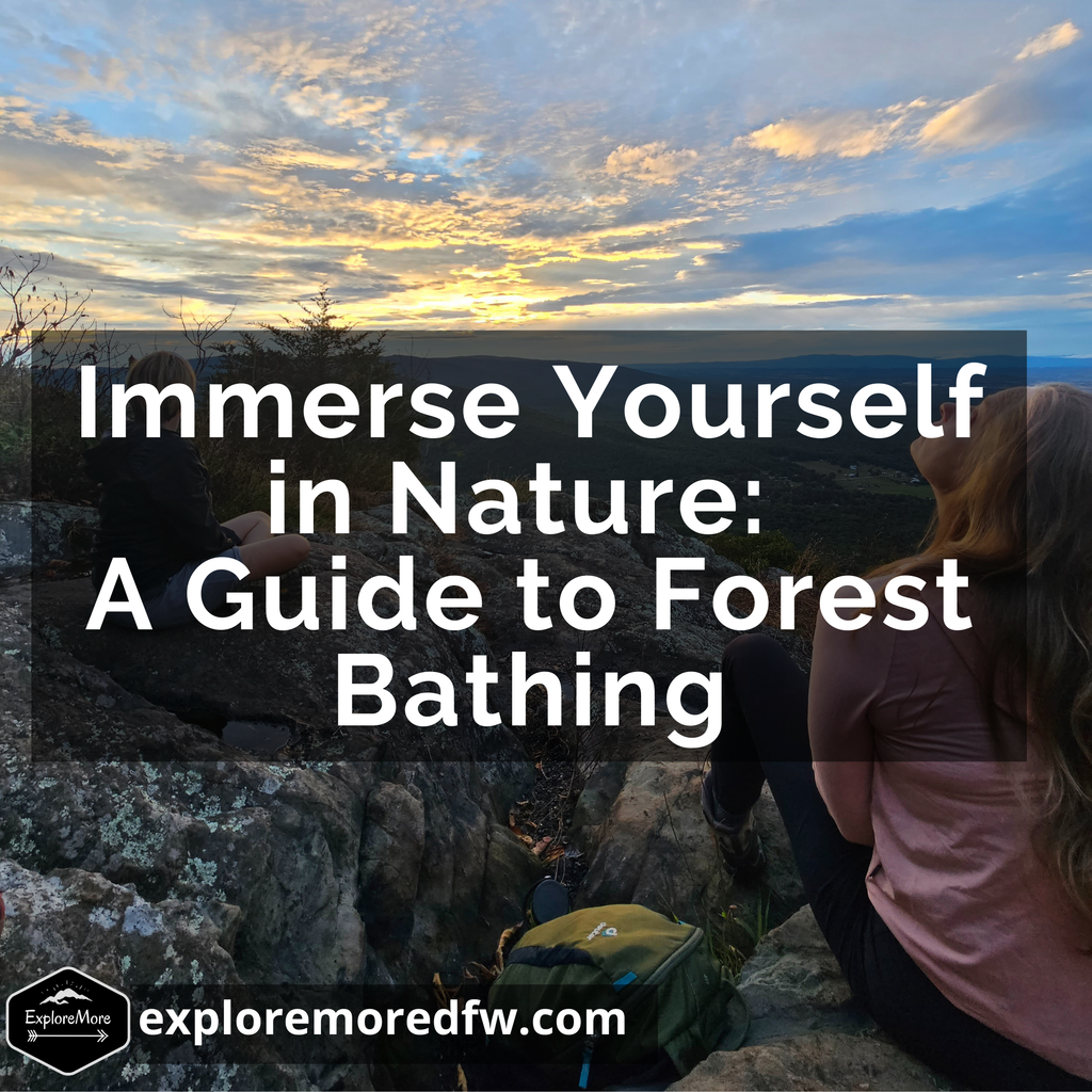 Immerse Yourself in Nature: A Guide to Forest Bathing