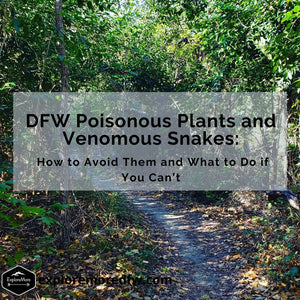 Top‌ ‌DFW‌ ‌Poisonous‌ ‌Plants‌ ‌and‌ ‌Venomous‌ ‌Snakes‌ ‌on‌ ‌the‌ ‌Trail:‌ How‌ ‌to‌ ‌Avoid‌ ‌Them‌ ‌and‌ ‌What‌ ‌to‌ ‌Do‌ ‌if‌ ‌You‌ ‌Can’t‌: Part 2