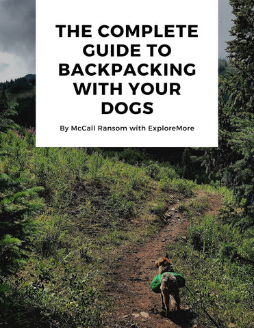 The Complete Guide to Backpacking With Your Dog